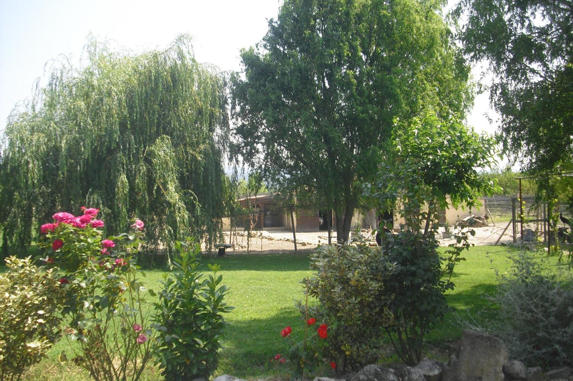 Le Prunier Lou Mas Li Pitchoun Gordes